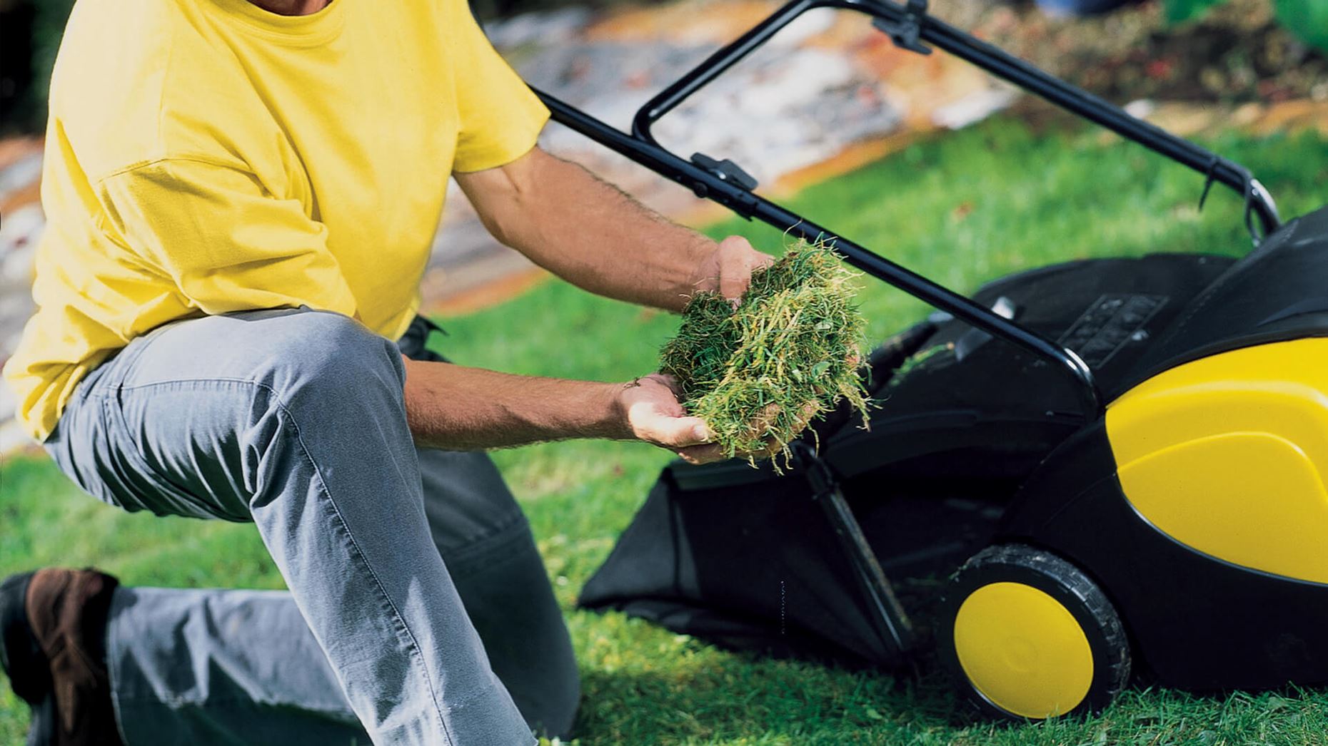 Scarifying & Raking the Lawn for Moss and Thatch